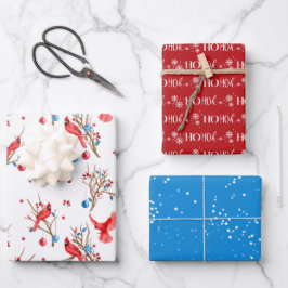 Winter Wonderland Rode Kardinaal Ornamenten Inpakpapier Vel