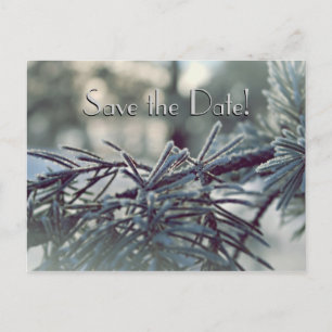 Winter Wonderland Save the Date Briefkaart