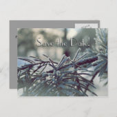 Winter Wonderland Save the Date Briefkaart (Voorkant / Achterkant)