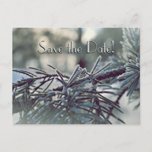 Winter Wonderland Save the Date Briefkaart (Voorkant)