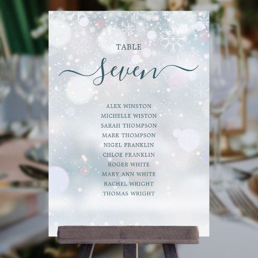 Winter Wonderland Script Zitplaats Plan Tafel Numm