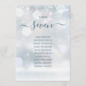 Winter Wonderland Script Zitplannummer (Voorkant)