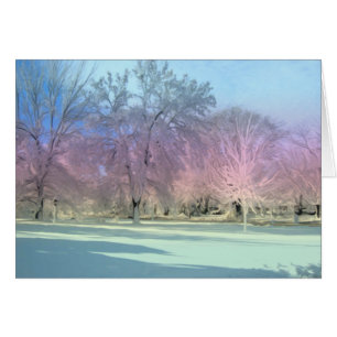 [Winter Wonderland] Sneeuwijs - elke gelegenheid K