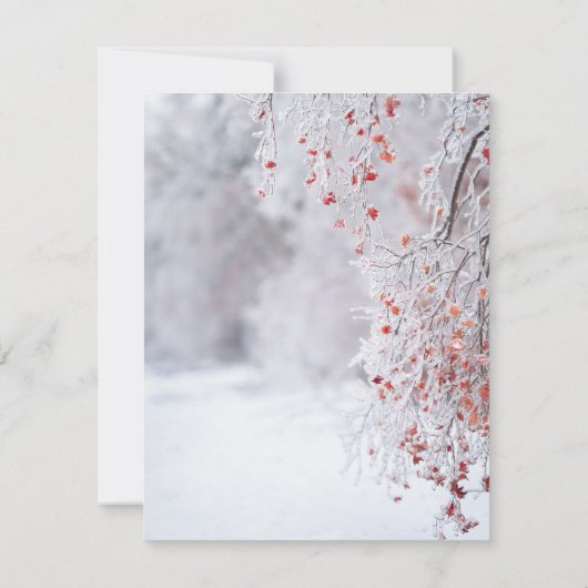 Winter Wonderland, sneeuwlichten repetitief diner Kaart (Achterkant)