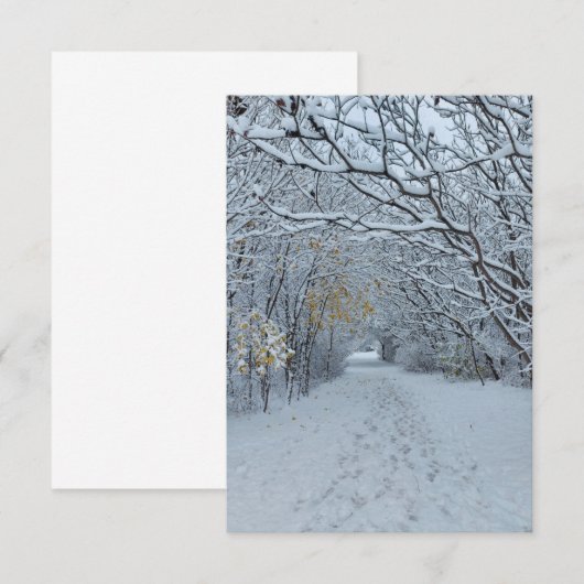 Winter Wonderland Sneeuwpark Lege kaart (Voorkant / Achterkant)