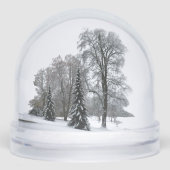 Winter Wonderland Snow Globe Snow Forest Snowglobe Sneeuwbol (Voorkant)