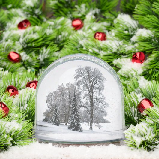 Winter Wonderland Snow Globe Snow Forest Snowglobe Sneeuwbol (Kerstmis)