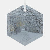 Winter Wonderland Snow Ornament (Voorkant)