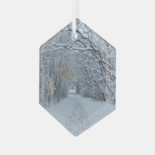 Winter Wonderland Snow Ornament (Voorkant links)