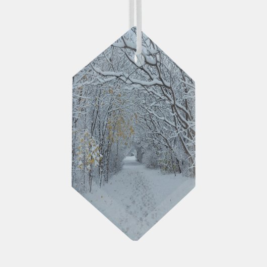 Winter Wonderland Snow Ornament (Voorkant Rechts)