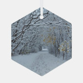 Winter Wonderland Snow Ornament (Achterkant)