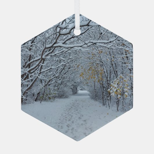 Winter Wonderland Snow Ornament (Achterkant)