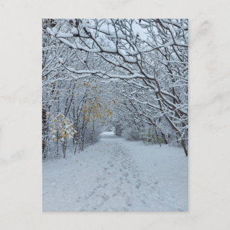 Winter Wonderland Snow Park Blank Card Briefkaart
