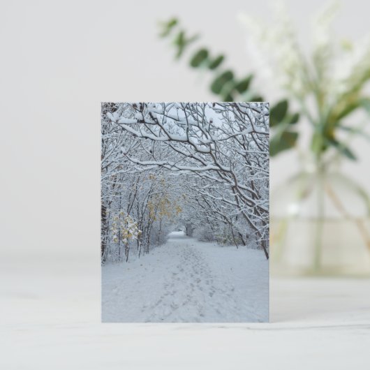 Winter Wonderland Snow Park Blank Card Briefkaart (Staand voorkant)