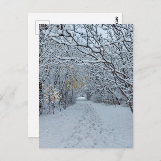 Winter Wonderland Snow Park Blank Card Briefkaart (Voorkant / Achterkant)