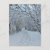 Winter Wonderland Snow Park Blank Card Briefkaart (Voorkant)