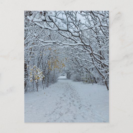 Winter Wonderland Snow Park Blank Card Briefkaart (Voorkant)
