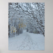 Winter Wonderland Snow Park Blank Card Poster (Voorkant)
