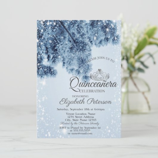 Winter Wonderland, Snow, Snowflakes Quinceañera Kaart (Staand voorkant)