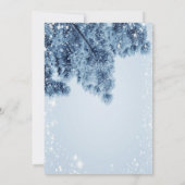 Winter Wonderland, Snow, Snowflakes Quinceañera Kaart (Achterkant)