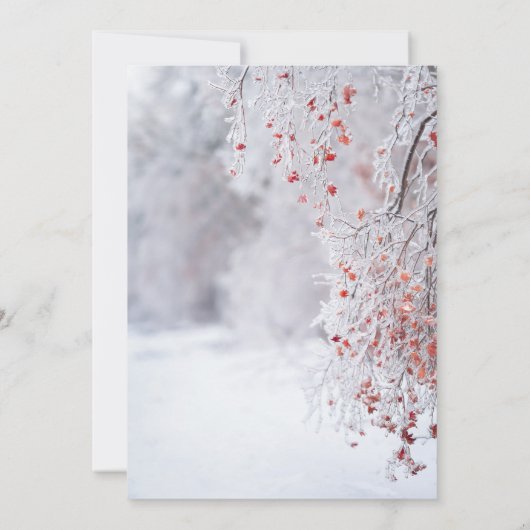 Winter Wonderland, Snow String Lights Verloving Kaart (Achterkant)