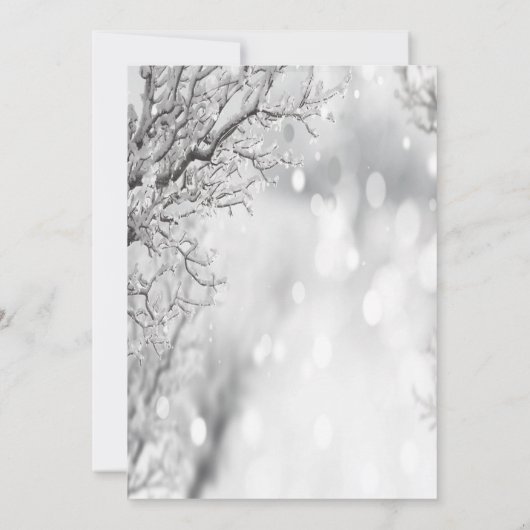 Winter Wonderland, Snowflakes Save the Date (Achterkant)