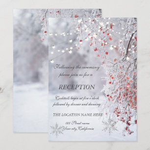 Winter Wonderland Snowflakes Weddenschappen Ontvan Kaart