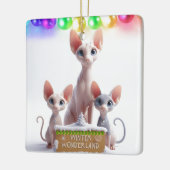 Winter Wonderland Sphynx Kerst Ornament (Links)