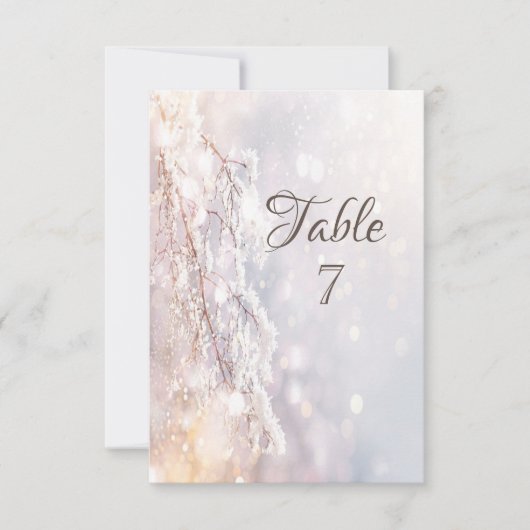 Winter Wonderland takken Kaart (Voorkant)