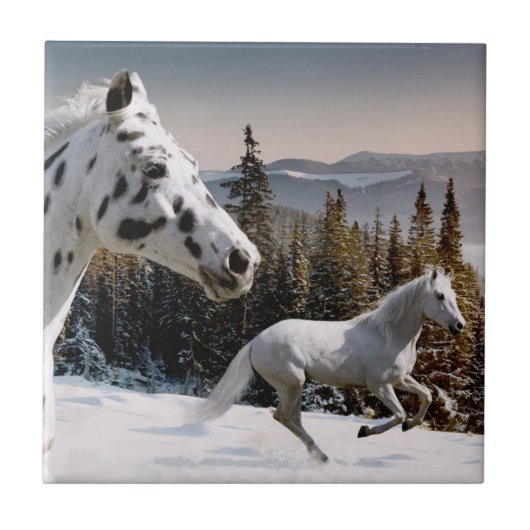 Winter Wonderland Tegeltje (Voorkant)