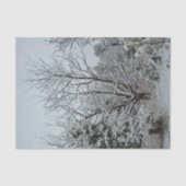 Winter Wonderland Tissuepapier (Voorkant)