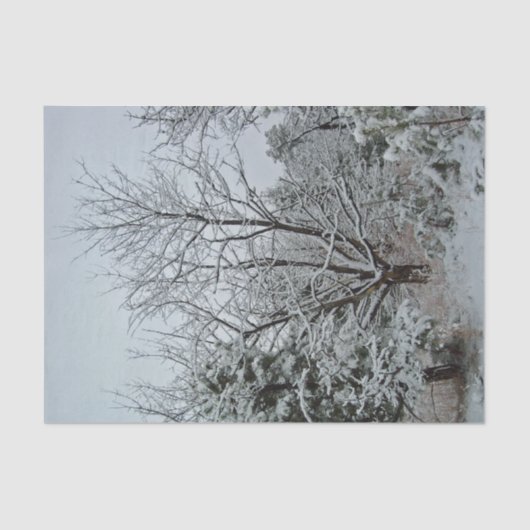 Winter Wonderland Tissuepapier (Voorkant)