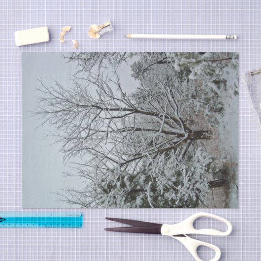 Winter Wonderland Tissuepapier (Craft)