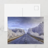 Winter Wonderland Travel Photo Briefkaart (Voorkant / Achterkant)