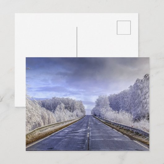 Winter Wonderland Travel Photo Briefkaart (Voorkant / Achterkant)