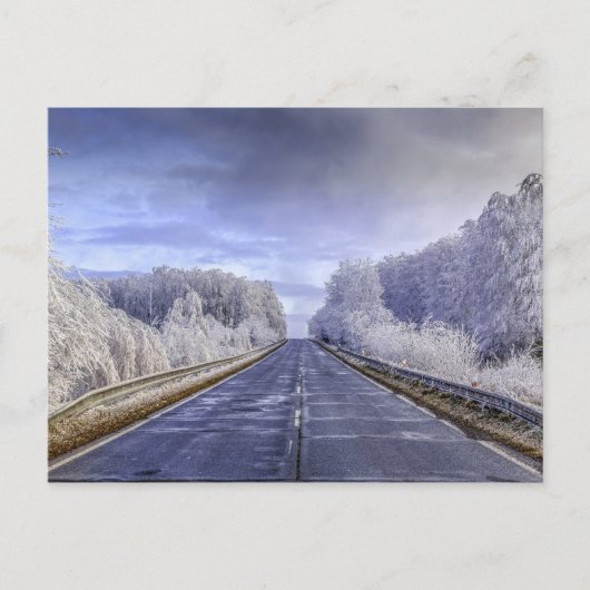 Winter Wonderland Travel Photo Briefkaart (Voorkant)