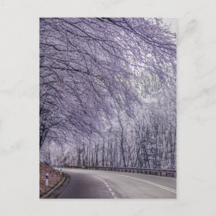 Winter Wonderland Travel Photo Briefkaart
