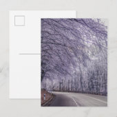 Winter Wonderland Travel Photo Briefkaart (Voorkant / Achterkant)