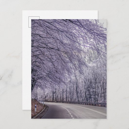 Winter Wonderland Travel Photo Briefkaart (Voorkant / Achterkant)