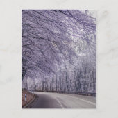 Winter Wonderland Travel Photo Briefkaart (Voorkant)