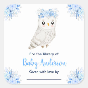 Winter Wonderland Uil Baby Shower-boekenlegger Vierkante Sticker