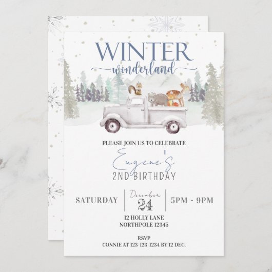 Winter Wonderland Verjaardag, Jongen 2e Verjaardag Kaart (Voorkant / Achterkant)