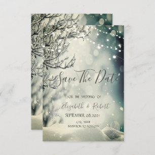 Winter Wonderland Wedding Save the Date