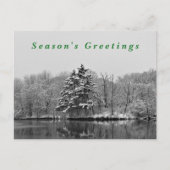 Winter Wonderland zwart-wit sneeuwfotografie Feestdagenkaart (Voorkant)