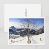Winter wonderland - Zwitserland Briefkaart (Voorkant / Achterkant)