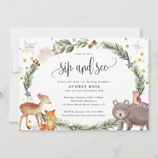 Winter Woodland Animals Baby Sip en Zie Kaart (Voorkant)