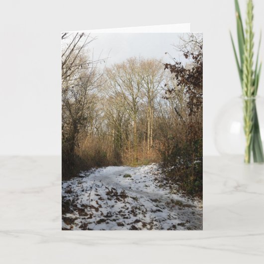Winter Woodland Arnside Bedankkaart (Voorkant)