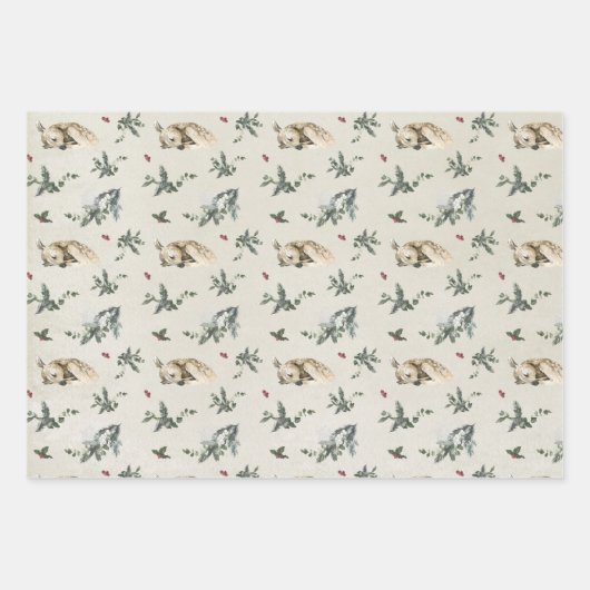 Winter Woodland Deer en Bunny Rabbit Pattern Inpakpapier Vel (Voorkant)