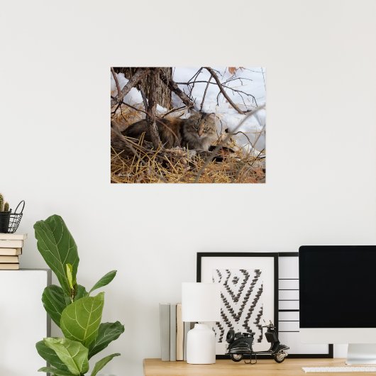 Winter Woodland Feral Cat Print (Thuiskantoor)