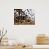 Winter Woodland Feral Cat Print (Keuken)